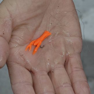 01A-truites leurres de plastique 34